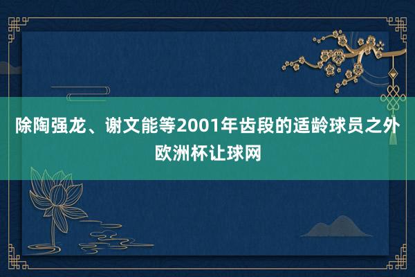 除陶强龙、谢文能等2001年齿段的适龄球员之外欧洲杯让球网