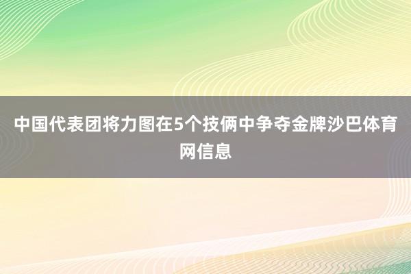 中国代表团将力图在5个技俩中争夺金牌沙巴体育网信息