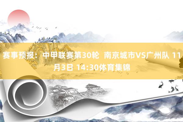 赛事预报：中甲联赛第30轮  南京城市VS广州队 11月3日 14:30体育集锦