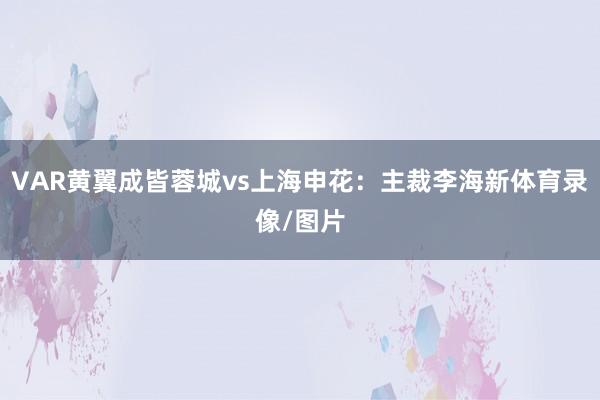 VAR黄翼成皆蓉城vs上海申花：主裁李海新体育录像/图片