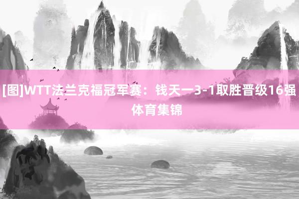 [图]WTT法兰克福冠军赛：钱天一3-1取胜晋级16强    体育集锦