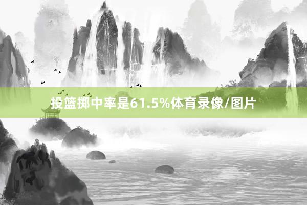 投篮掷中率是61.5%体育录像/图片