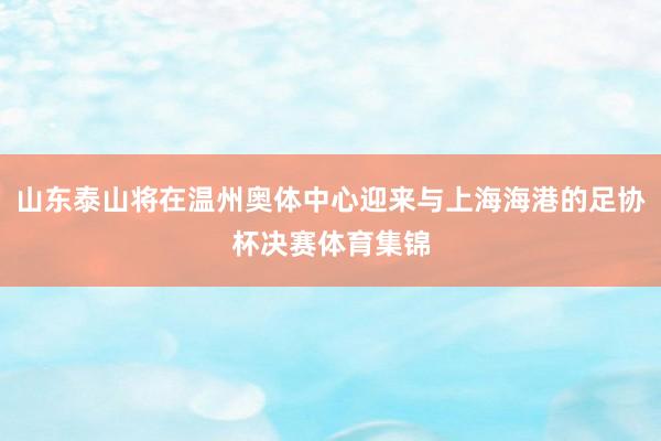 山东泰山将在温州奥体中心迎来与上海海港的足协杯决赛体育集锦