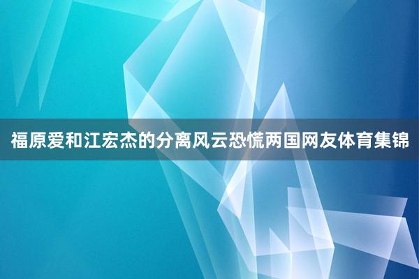 福原爱和江宏杰的分离风云恐慌两国网友体育集锦