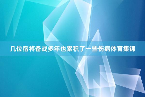 几位宿将备战多年也累积了一些伤病体育集锦